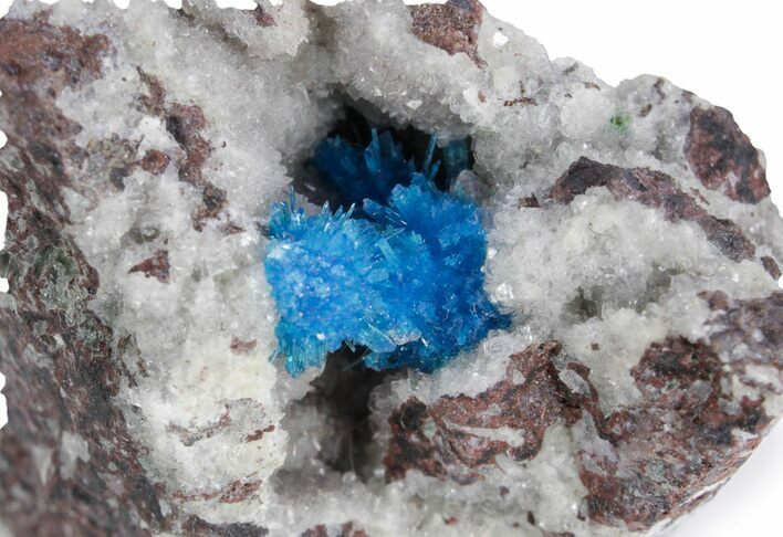 Vibrant Blue Cavansite Crystals on Sparkling Stilbite - India #357237